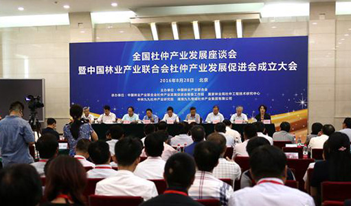 全國杜仲產(chǎn)業(yè)發(fā)展座談會暨中國林業(yè)產(chǎn)業(yè)聯(lián)合會杜仲產(chǎn)業(yè)發(fā)展促進會成立大會京召開